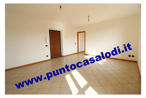 1 piscioneri bilo 728b (3)