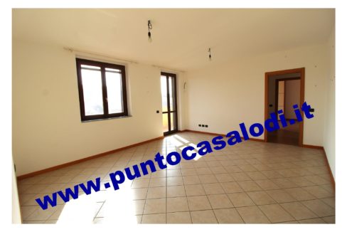 1 piscioneri bilo 728b (4)