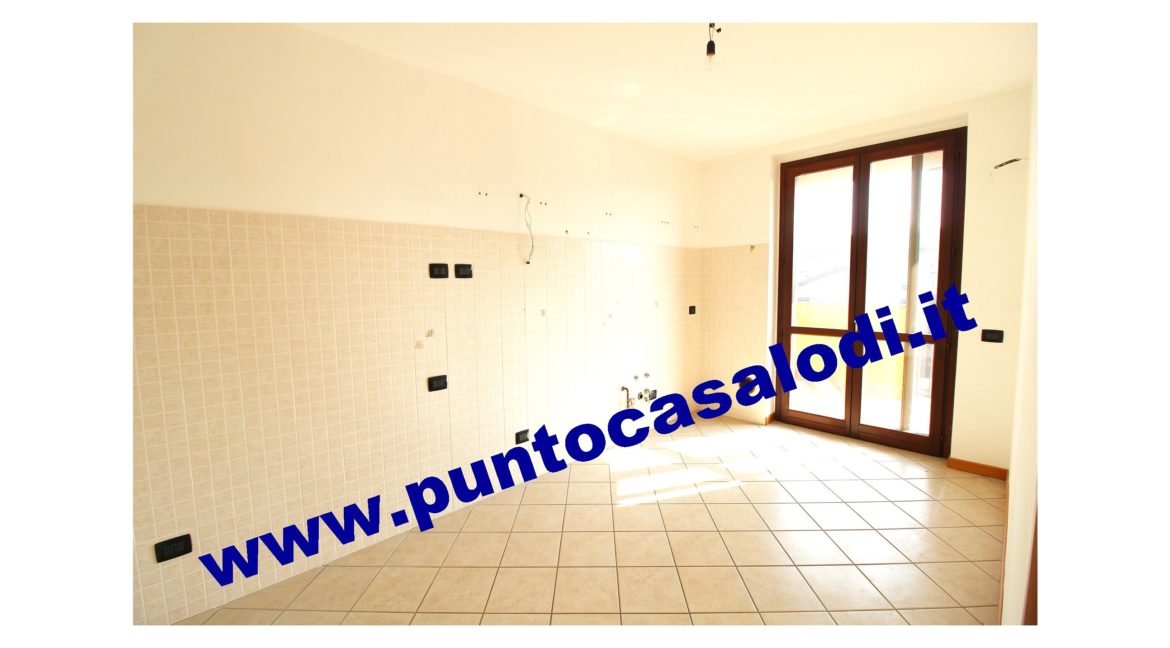 1 piscioneri bilo 728b (6)