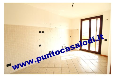 1 piscioneri bilo 728b (6)
