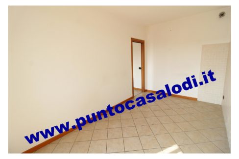 1 piscioneri bilo 728b (7)