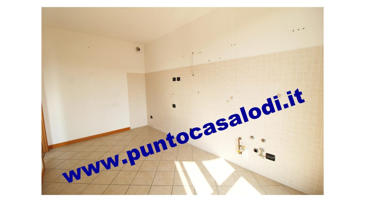 1 piscioneri bilo 728b (8)