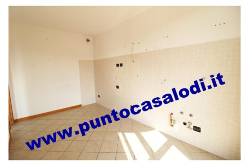 1 piscioneri bilo 728b (8)