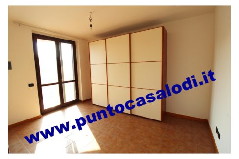 1 piscioneri bilo 728b (9)