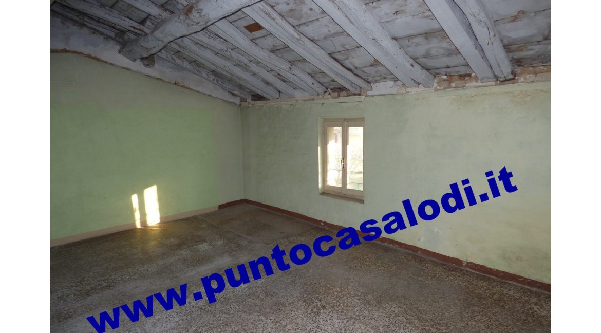10 luppi 143 (1)