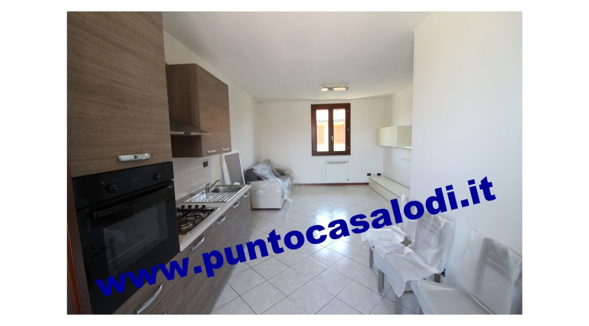 3 cavallo 2535 (1)