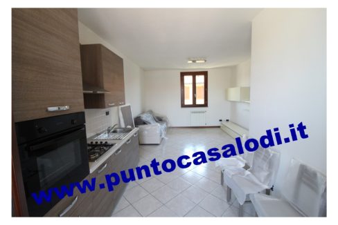 3 cavallo 2535 (1)