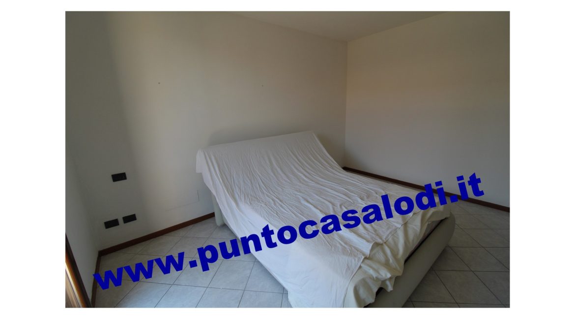 3 cavallo 2535 (10)