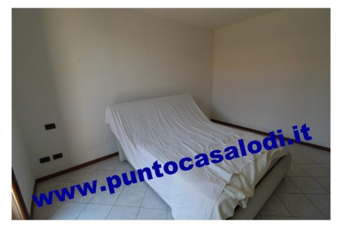 3 cavallo 2535 (10)