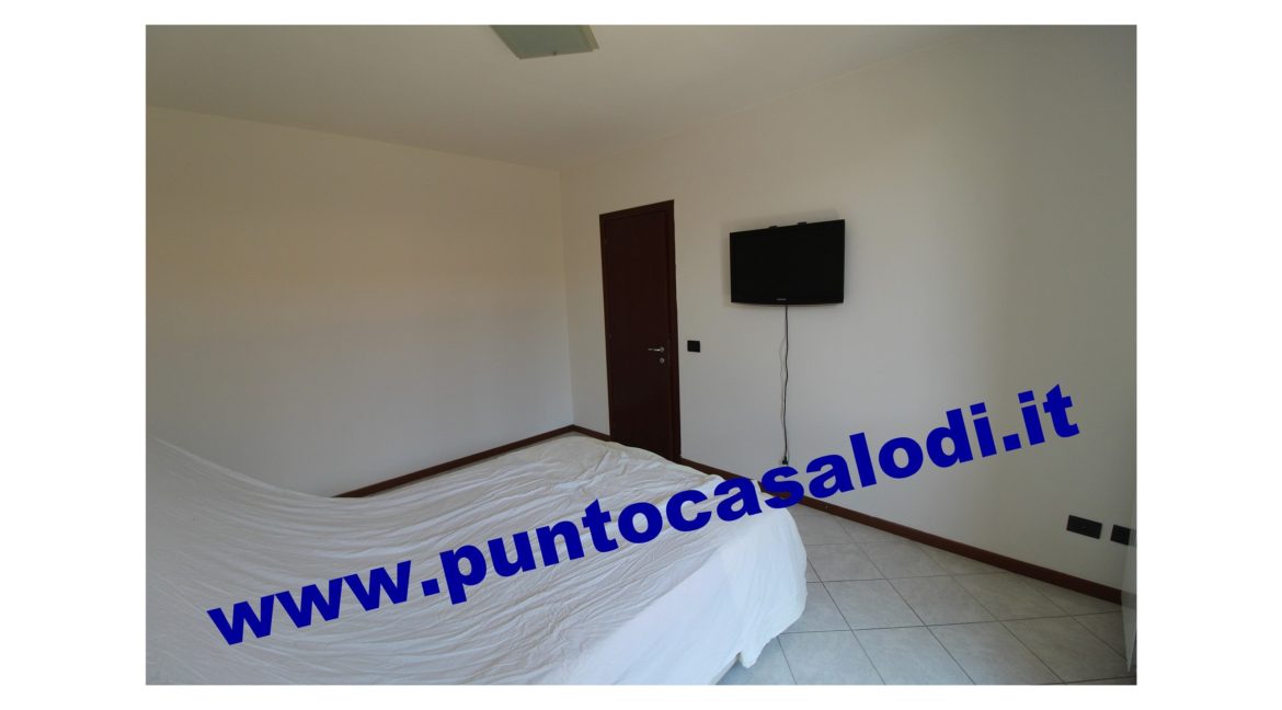 3 cavallo 2535 (11)