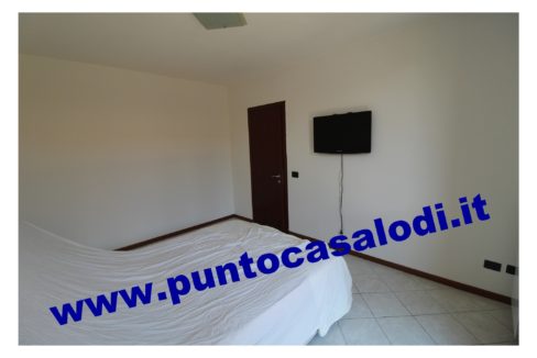 3 cavallo 2535 (11)
