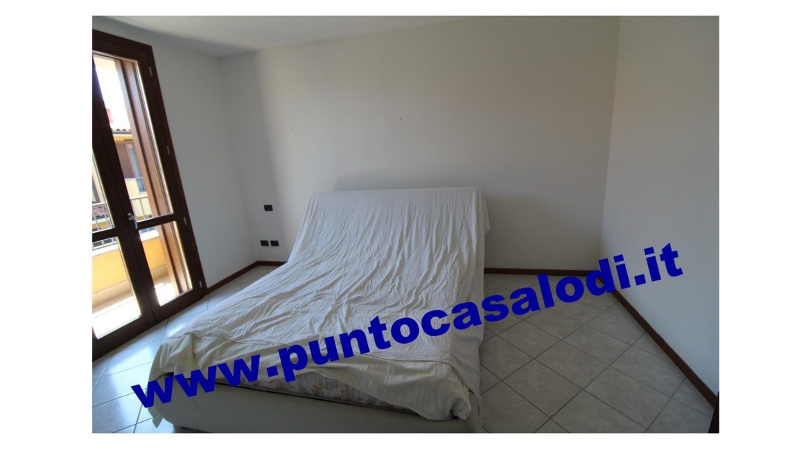 3 cavallo 2535 (12)