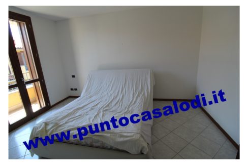 3 cavallo 2535 (12)