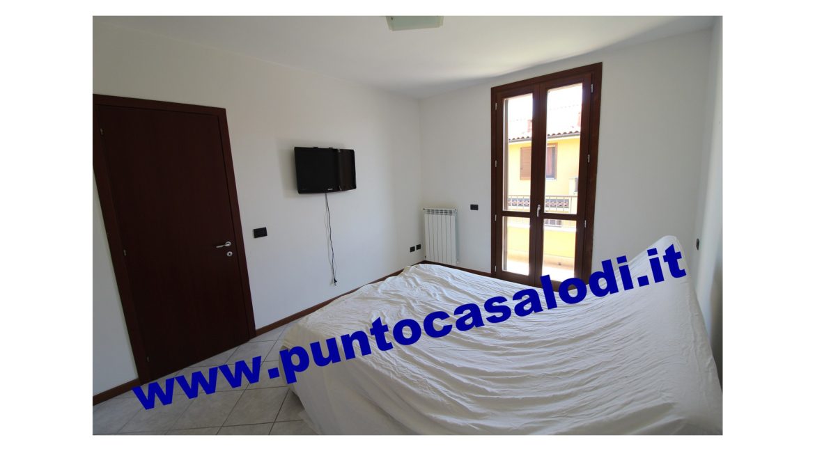 3 cavallo 2535 (13)