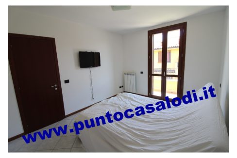 3 cavallo 2535 (13)