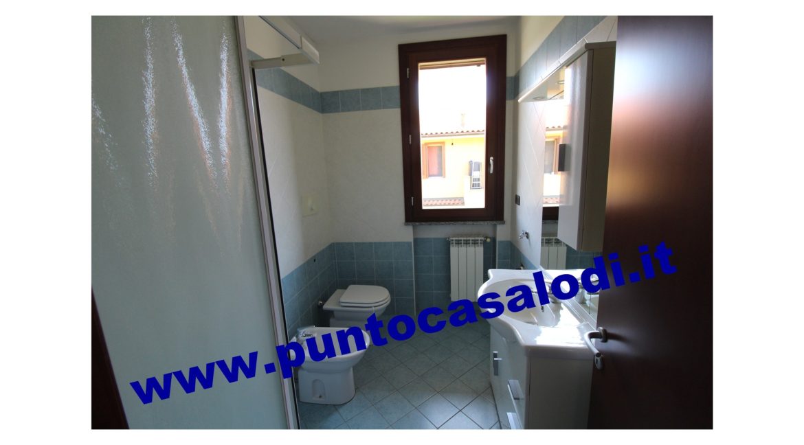 3 cavallo 2535 (14)