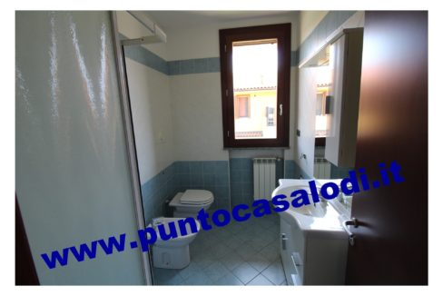 3 cavallo 2535 (14)