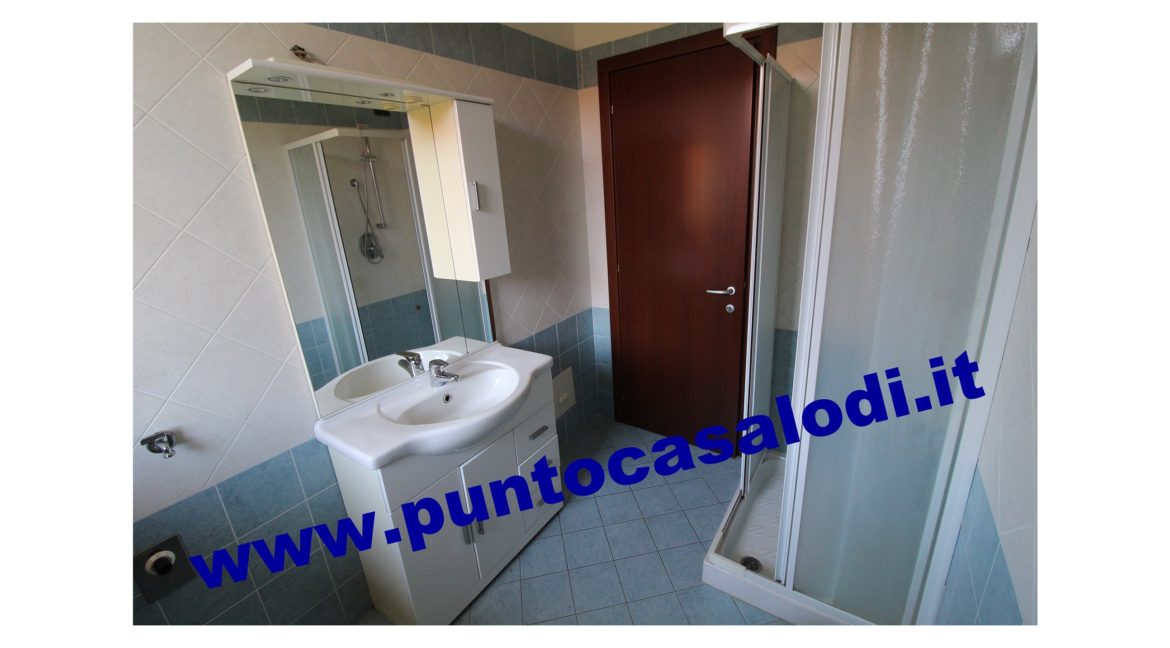 3 cavallo 2535 (15)