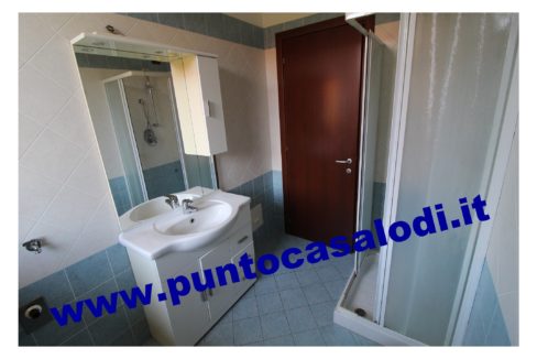 3 cavallo 2535 (15)