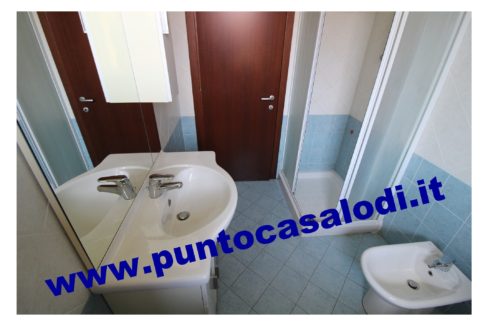 3 cavallo 2535 (16)