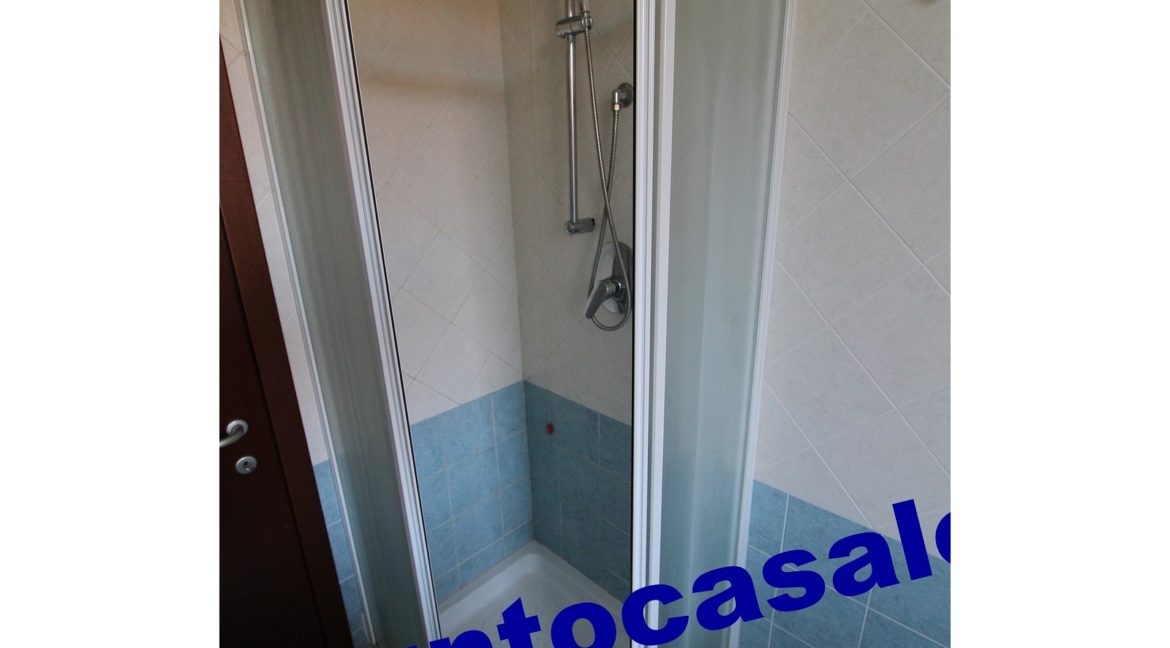 3 cavallo 2535 (17)