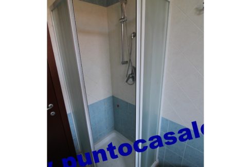 3 cavallo 2535 (17)