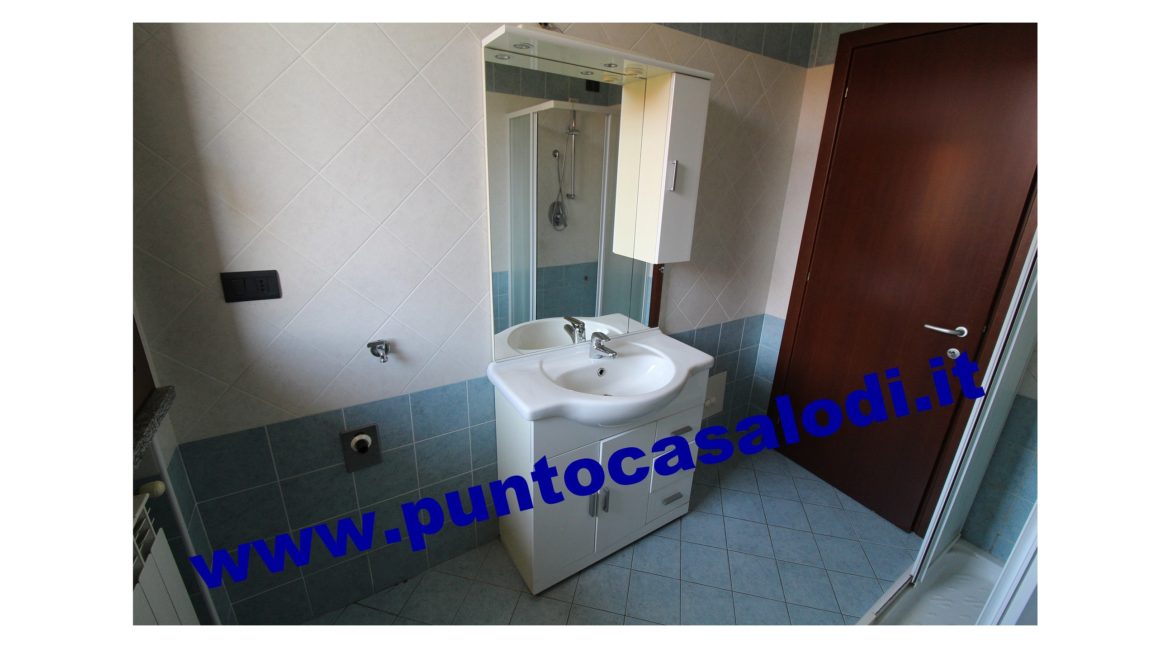 3 cavallo 2535 (18)
