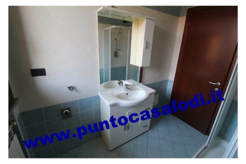 3 cavallo 2535 (18)
