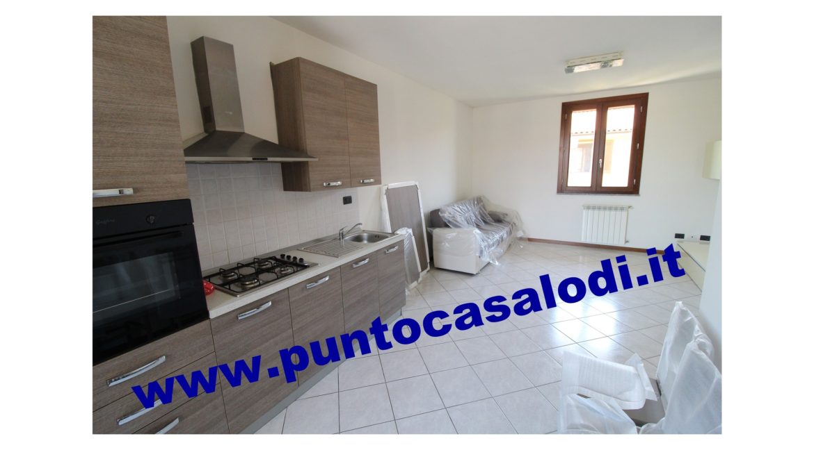 3 cavallo 2535 (2)