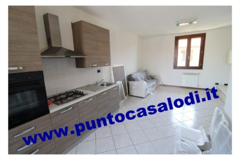 3 cavallo 2535 (2)