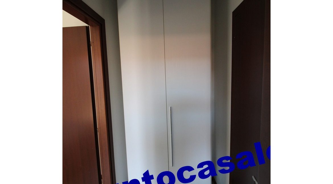 3 cavallo 2535 (20)