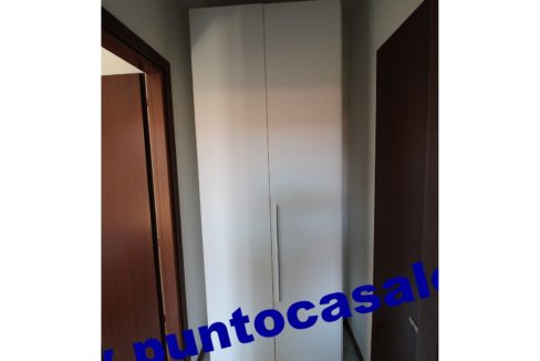3 cavallo 2535 (20)