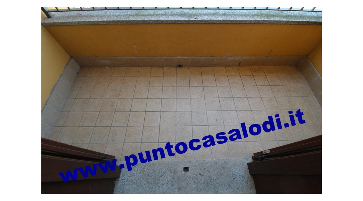 3 cavallo 2535 (21)
