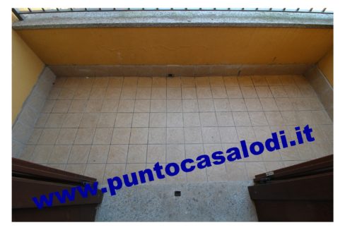 3 cavallo 2535 (21)