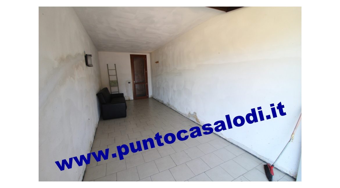 3 cavallo 2535 (22)