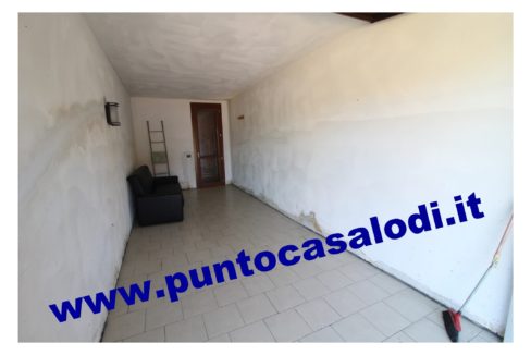3 cavallo 2535 (22)
