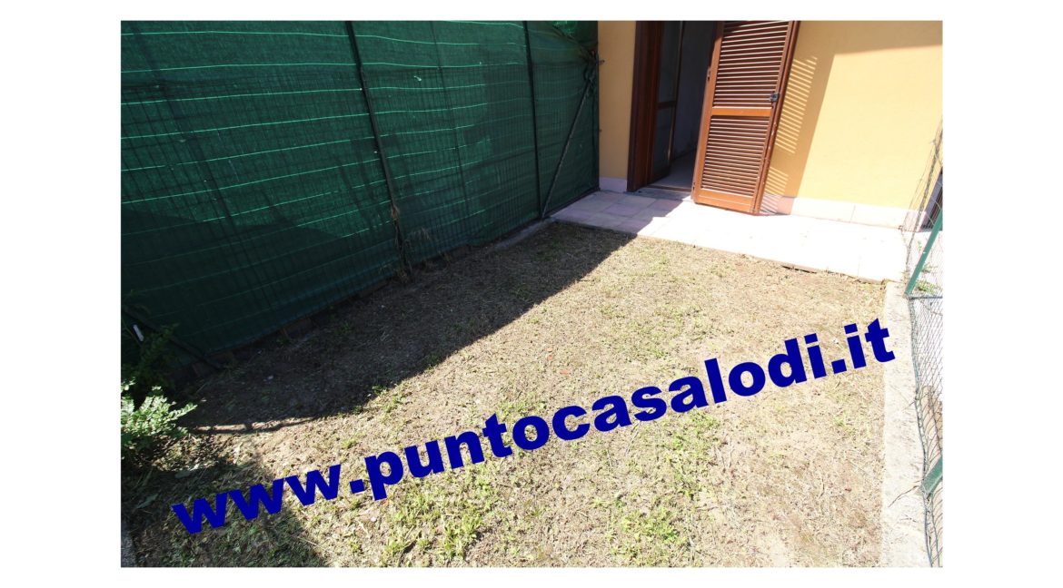 3 cavallo 2535 (23)