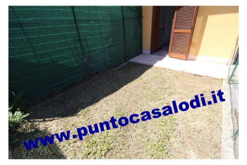 3 cavallo 2535 (23)