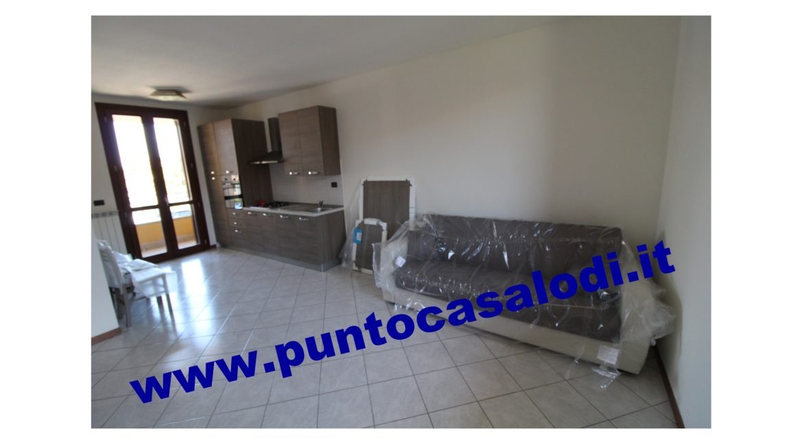 3 cavallo 2535 (3)