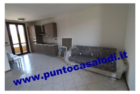 3 cavallo 2535 (3)