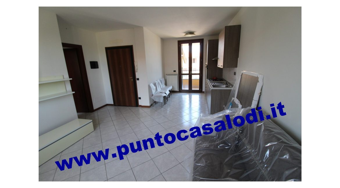 3 cavallo 2535 (4)