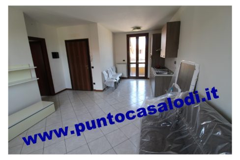3 cavallo 2535 (4)
