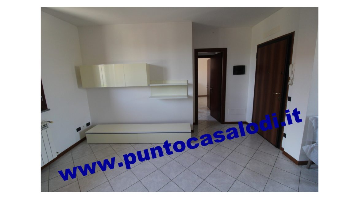 3 cavallo 2535 (5)
