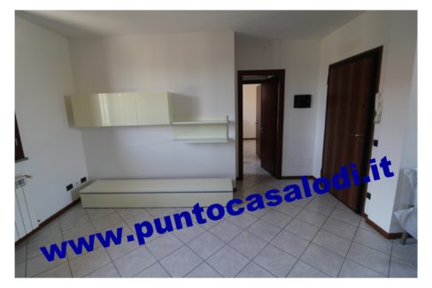 3 cavallo 2535 (5)