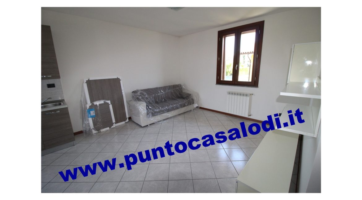 3 cavallo 2535 (6)
