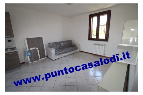 3 cavallo 2535 (6)