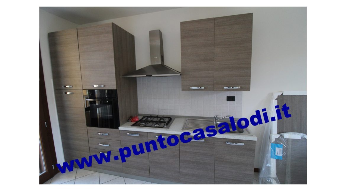 3 cavallo 2535 (7)