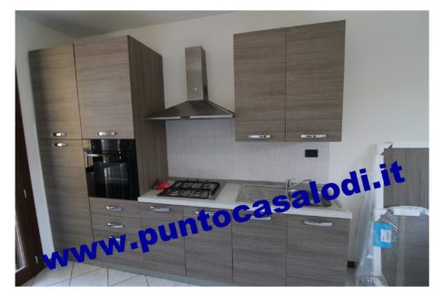 3 cavallo 2535 (7)