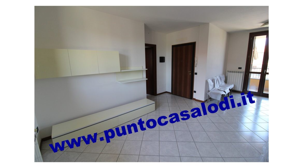 3 cavallo 2535 (8)
