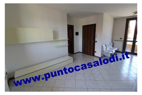 3 cavallo 2535 (8)
